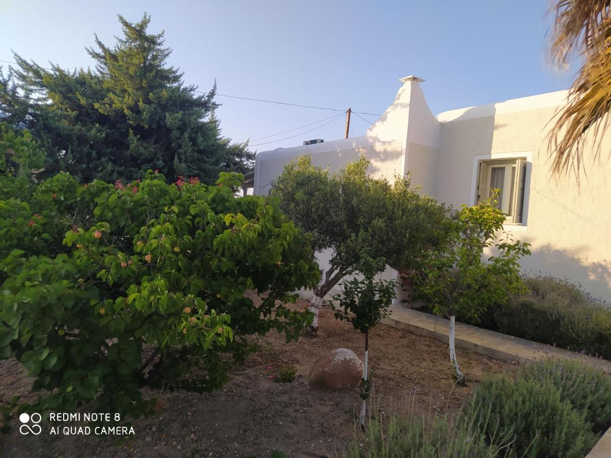 Chaido Studios Plaka  Dış mekan fotoğraf
