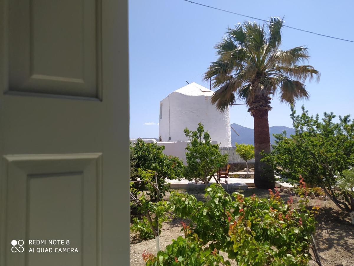 Chaido Studios Plaka  Dış mekan fotoğraf